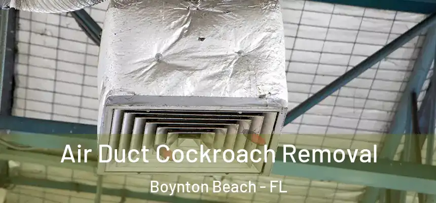  Air Duct Cockroach Removal Boynton Beach - FL