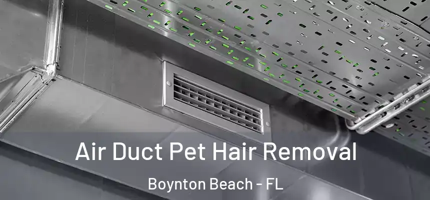  Air Duct Pet Hair Removal Boynton Beach - FL