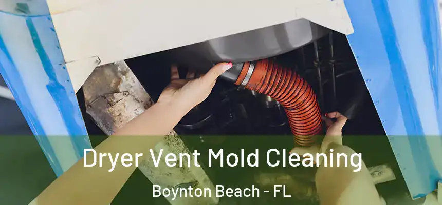  Dryer Vent Mold Cleaning Boynton Beach - FL