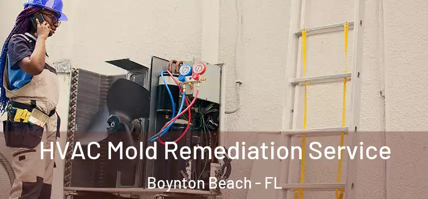 HVAC Mold Remediation Service Boynton Beach - FL