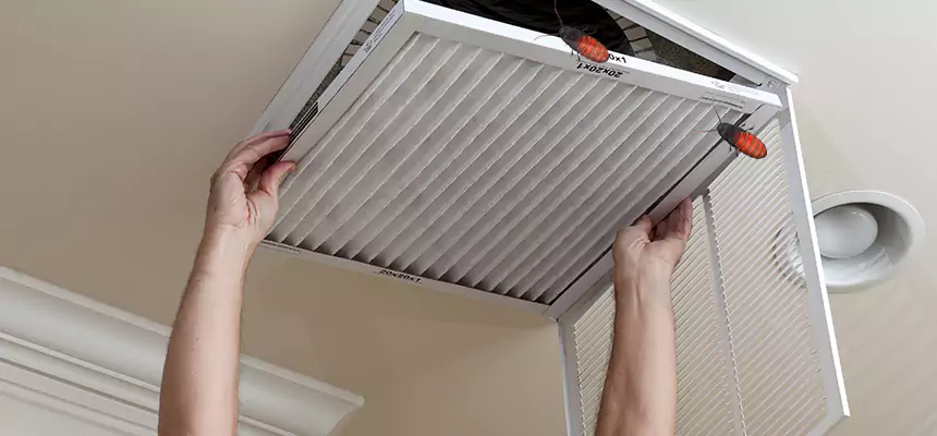 Preventive Cockroach-Proofing for Ducts in Boynton Beach
