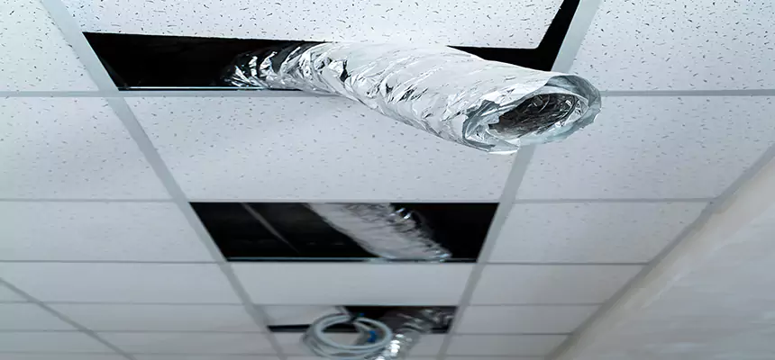 Our Air Duct Pet Hair Removal Services in Boynton Beach, FL