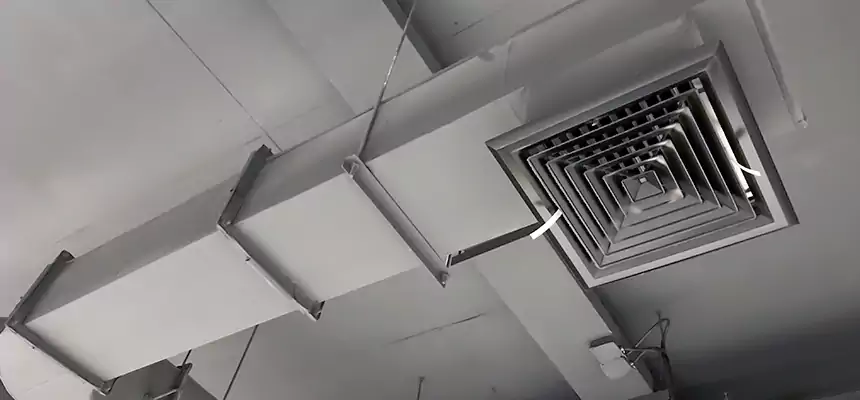 Our Pest Removal From Ducts Services in Boynton Beach, FL