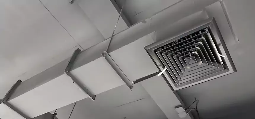 Our Rodent Droppings In Vents Services in Boynton Beach, FL