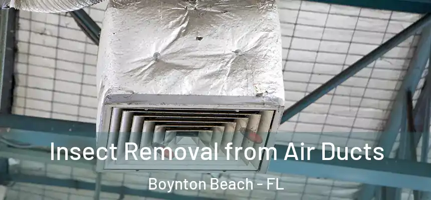  Insect Removal from Air Ducts Boynton Beach - FL