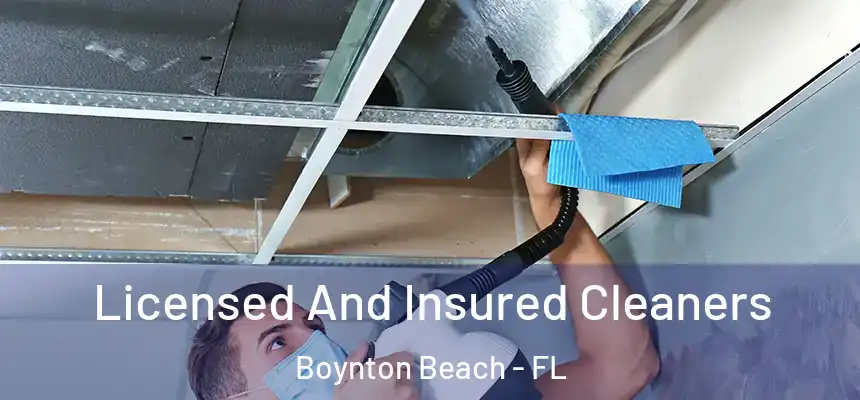  Licensed And Insured Cleaners Boynton Beach - FL