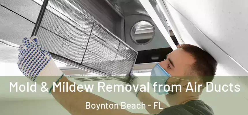 Mold & Mildew Removal from Air Ducts Boynton Beach - FL