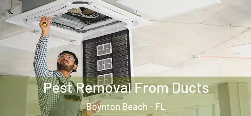  Pest Removal From Ducts Boynton Beach - FL