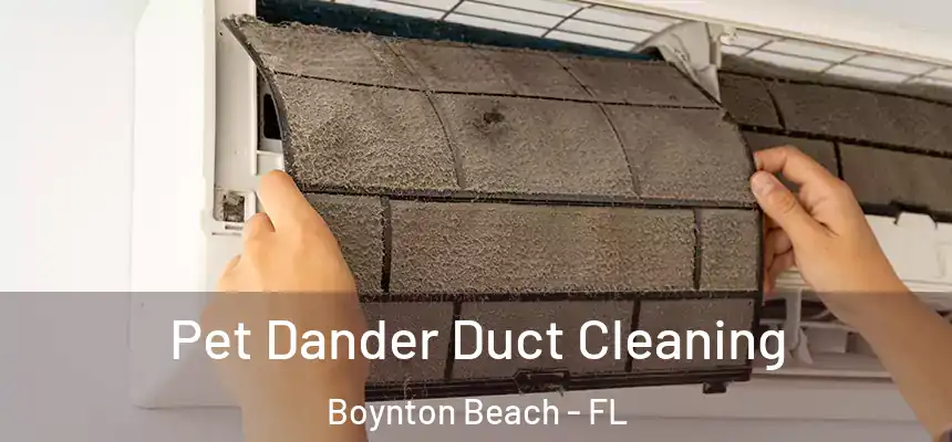 Pet Dander Duct Cleaning Boynton Beach - FL