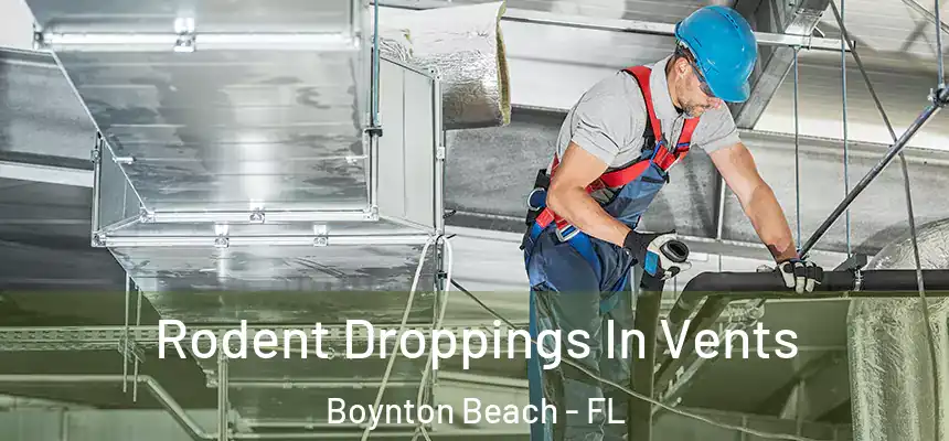  Rodent Droppings In Vents Boynton Beach - FL