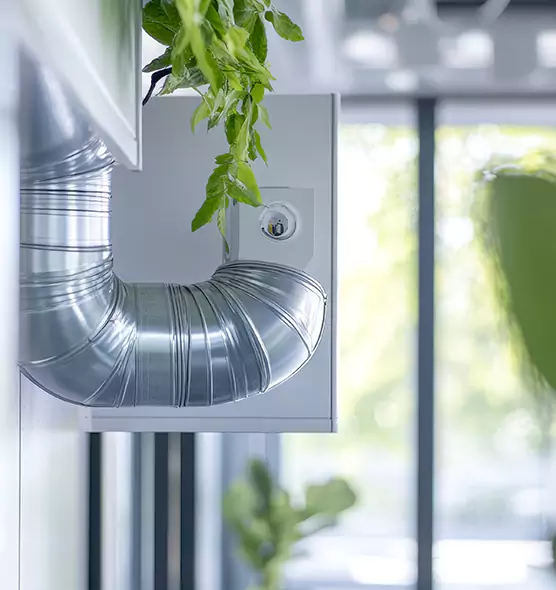 Professional Eco-Safe Dryer Vent Cleaning in Boynton Beach, FL