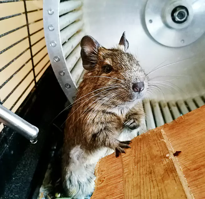 Why Homeowners & Businesses Trust Us Boynton Beach, FL?