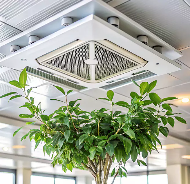 Why Homeowners & Businesses Trust Us in Boynton Beach, FL?